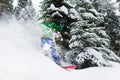 Joyful male snowboarder rides in forest creating a spray of snow