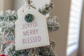 joyful merry and blessed christmas decorations on Christmas tree