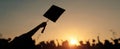 The joyful moment of graduation with caps raised against a stunning sunset..AI generated image Royalty Free Stock Photo