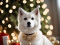 Joyful Nuzzles: Cinematic Pet Festivities Revealed for dog
