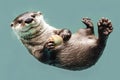 Joyful otter floating on back with shell Royalty Free Stock Photo