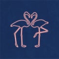 Joyful pink flamingo love in neon shines. naughty moment, love and naughty moment. Gorgeous artwork with strong color.