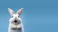 Joyful and Playful White Rabbit: A Cute and Smiling Easter Pet. created with Generative AI