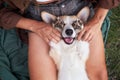 Joyful playtime, young woman cuddles with a smiling Welsh Corgi in the park