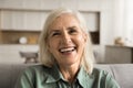 Joyful positive senior woman close up front head shot portrait