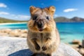 A joyful quokka invites you to visit Rottnest Island in Perth, Australia. Generative AI