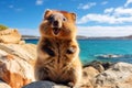 A joyful quokka invites you to visit Rottnest Island in Perth, Australia. Generative AI