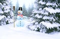 Joyful snowman in winter forest. New Year eve. Fabulous snowman made in forest