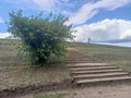 The landscape and natural beauty of the Ukrainian steppes during the lavender flowering period.