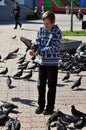 The joyful teenage boy feeds pigeons from hands Royalty Free Stock Photo