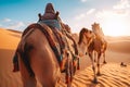 Joyful Tourist on Group Camel Ride in Desert