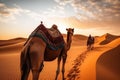 Joyful Tourist on Group Camel Ride in Desert