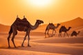 Joyful Tourist on Group Camel Ride in Desert