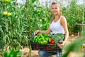 Joyful woman harvesting vegetables in a box
