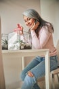 Joyful woman taking care of succulent plants at home Royalty Free Stock Photo