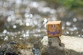 Joyful on wooden block in the river