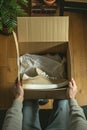 Joyous moment of person opening a delivered package, revealing the ordered shoes inside.