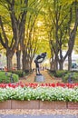 Jozenji park street in Sendai