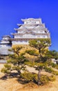 JP Himeji main top pine vert Royalty Free Stock Photo