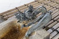 Kyoto Nishi Hongan ji temple temizuya fountain dragon Royalty Free Stock Photo