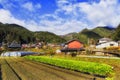 JP Ohara soil farm crops