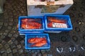 Closeup of fresh red fish at the Tsukiji fish market in Tokyo Japan Royalty Free Stock Photo