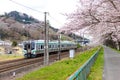 JR Tohoku train railroad track with row sakura tunnel and walkway with japanese  cherry blossom blooming at Hitome Senbon beside Royalty Free Stock Photo