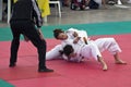 Ju jitsu demonstration at Stars in the Sport 2010