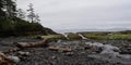 Juan De Fuca Marine Trail Royalty Free Stock Photo