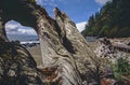 Juan De fuca trail beach Royalty Free Stock Photo