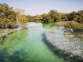 Al Jubail Mangrove forest in Abudhabi,UAE. Royalty Free Stock Photo