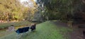 Jubilee Creek picnic spot outside Knysna