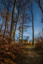 JubilÃÂ¤umswarte - Observation tower - Path , Vienna, Austria