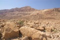 Judea desert, Israel Royalty Free Stock Photo