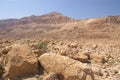 Judea desert, Israel Royalty Free Stock Photo