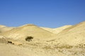 Judea desert mountain landscape, Israel Royalty Free Stock Photo