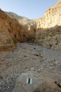 Judea desert mountain landscape, Israel Royalty Free Stock Photo