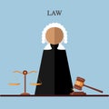 Judge in the court room, attorney icon isolated on background. Legal law, justice. Vector cartoon design