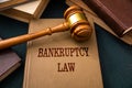 Judge gavel on bangruptcy law book Royalty Free Stock Photo