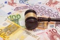 Judge gavel and euro banknotes Royalty Free Stock Photo
