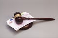 Judge gavel and euro banknotes Royalty Free Stock Photo