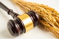 Judge gavel hammer with good grain rice from agriculture farm. Law and justice court concept