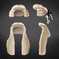 Judge periwigs 3d realistic vector collection