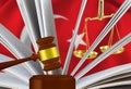 The judge\'s gavel, the book of laws and scales against the background of the flag of the Republic of Turkey.3d-image