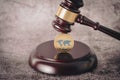 Judge's gavel holding a descriptive cryptocurrency coin.