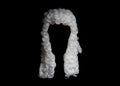 Judge white wig Royalty Free Stock Photo