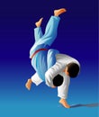 Judo Royalty Free Stock Photo
