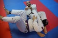 Judo action - submission technique Royalty Free Stock Photo