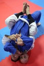 Judo action - submission technique Royalty Free Stock Photo