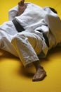 Judo fighters Royalty Free Stock Photo